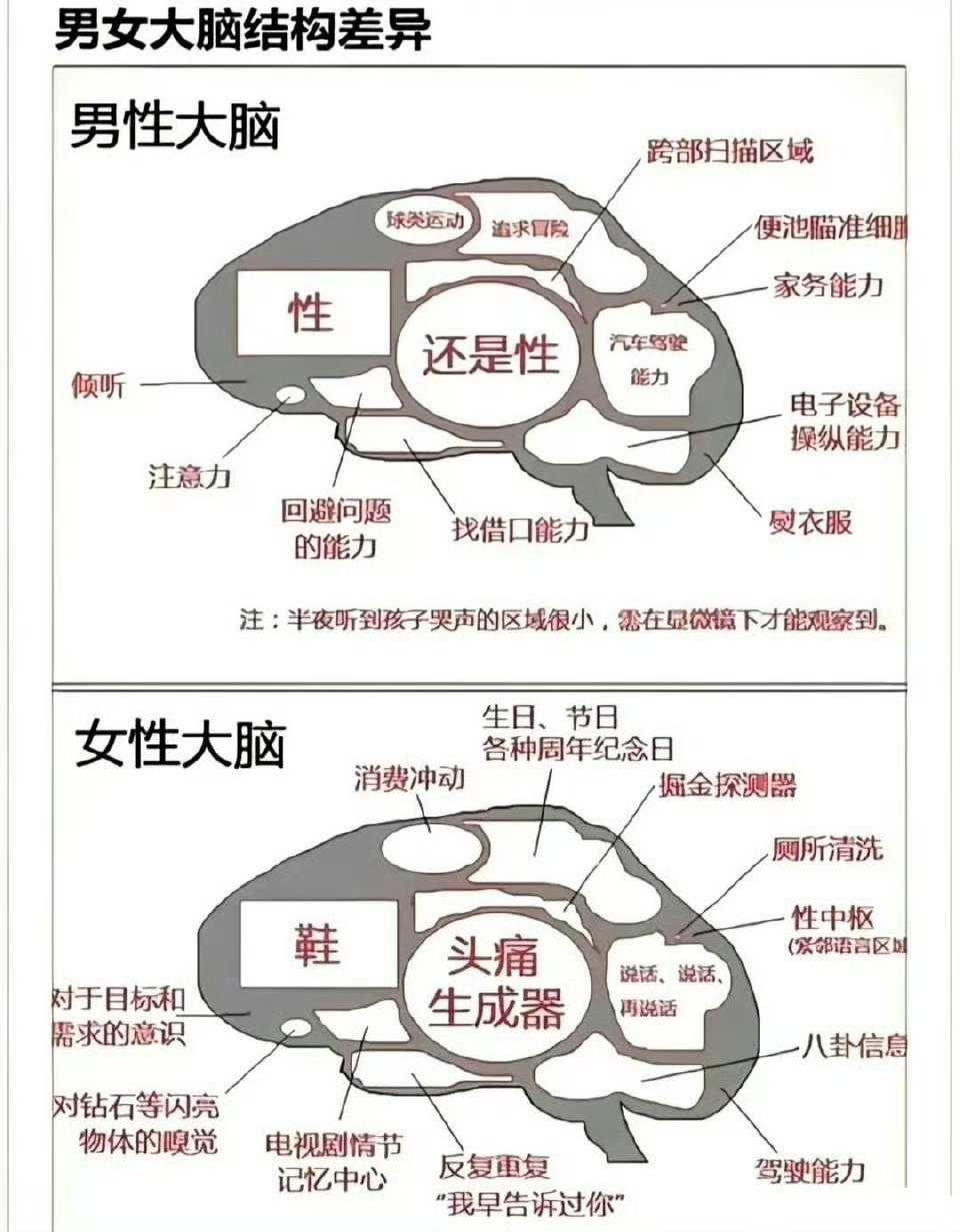 原来男人和女人的大脑不一样 ​​​