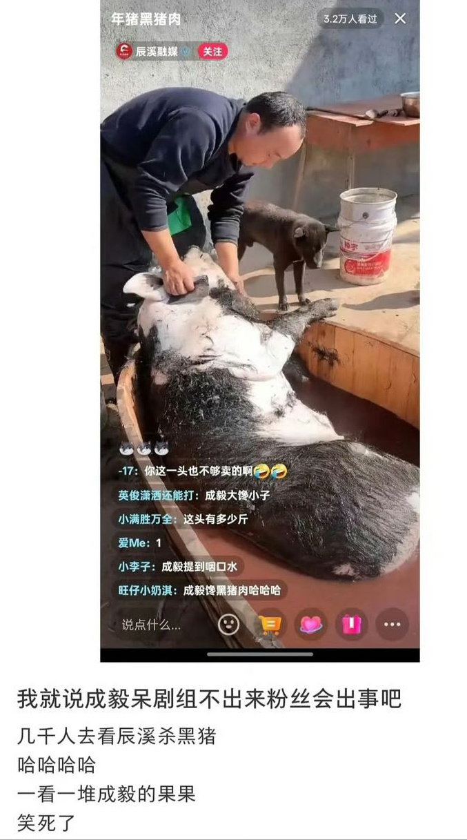 大馋丫头们……几千个人蹲在辰溪的助农直播间里看宰黑猪，一堆小姑娘在那讨论猪肉怎么