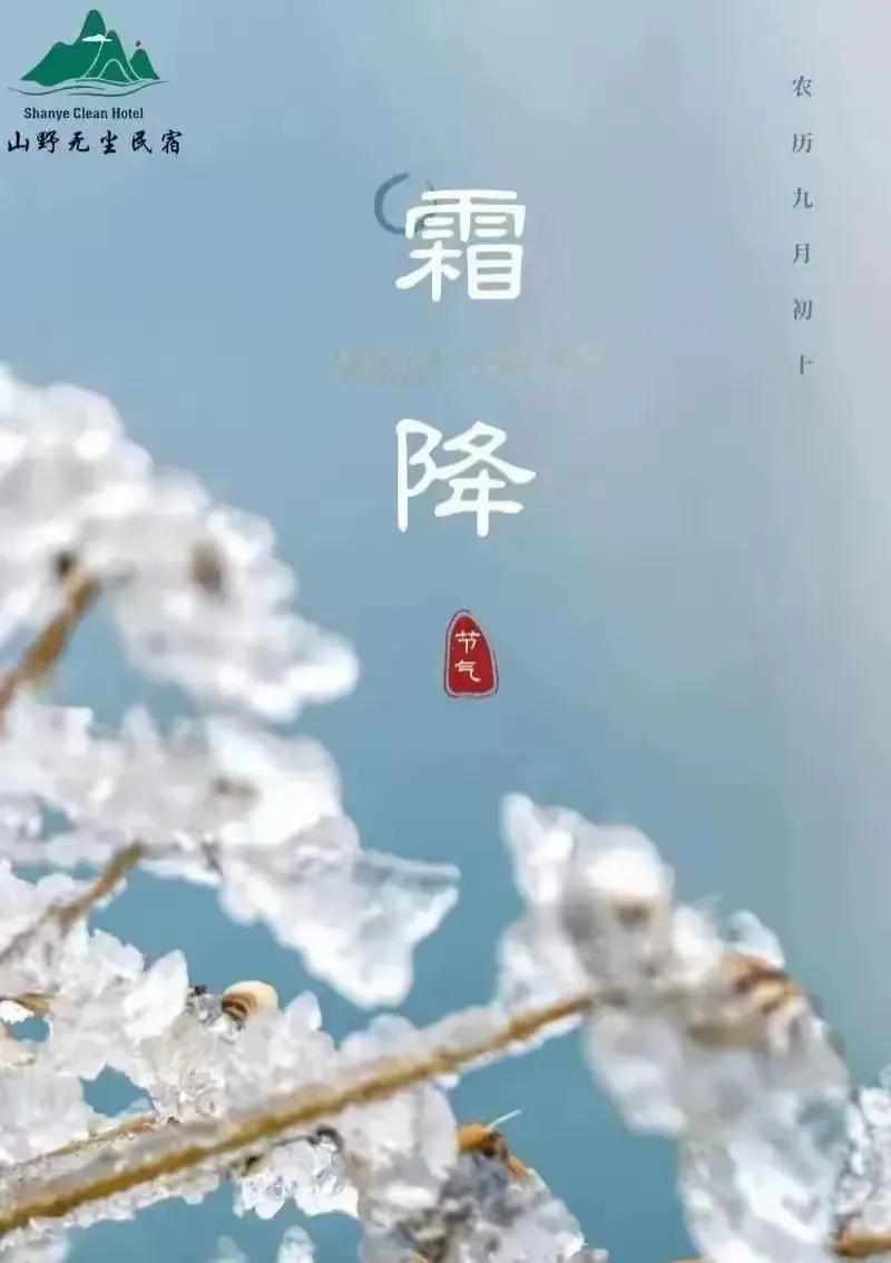 人间逢霜降，秋日至终章。愿您及家人：[福]好“柿”成“霜”！“柿柿”如意！🌹?