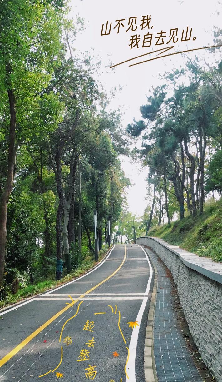 马鞍山森林公园登高宝藏路线，人少景美超治愈！
拍了拍武汉 在武汉过秋天 @武汉东