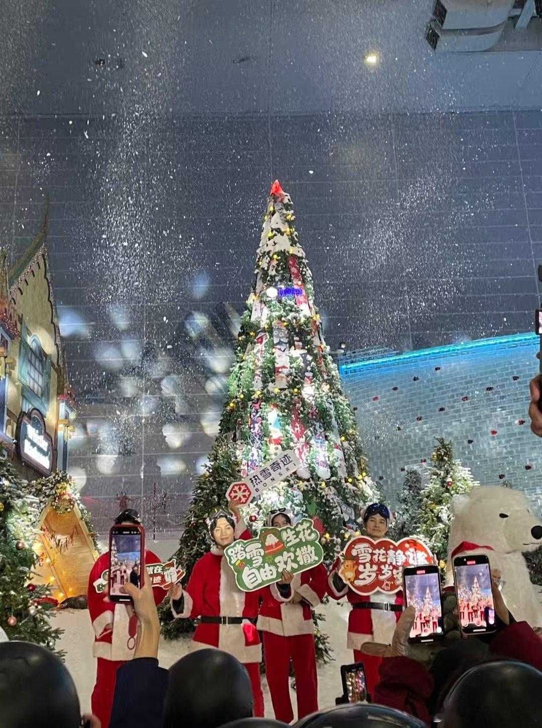 冬天是猫在家里还是 上周的大雪一落，冬天的氛围感直接拉满！作为一枚妥妥的冰雪运动