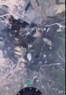 不怕神一般的对手，就怕猪一样的队友，又1名俄军士兵惨遭队友毒手。队友在发射RPG
