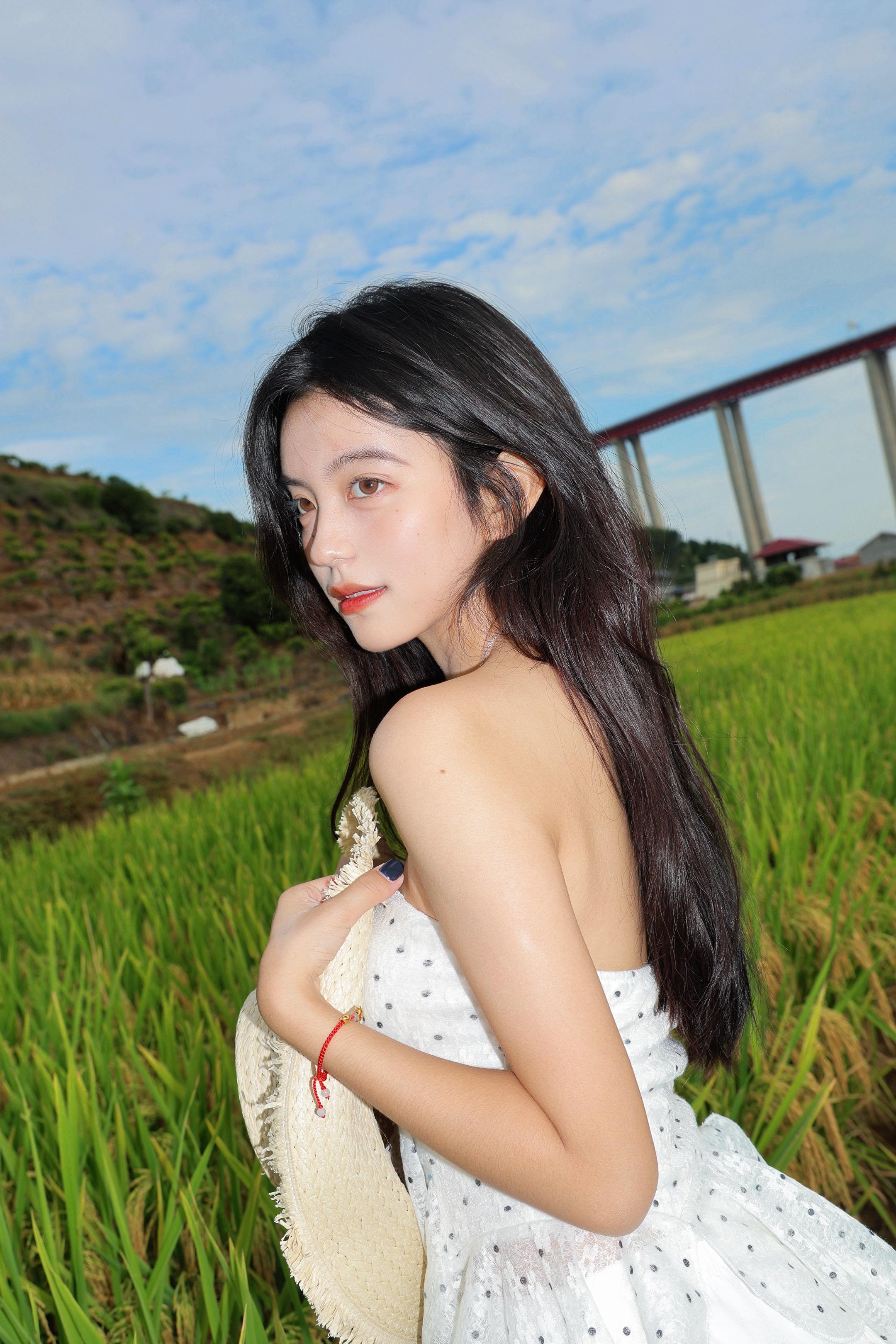 我的故事总发生在夏天