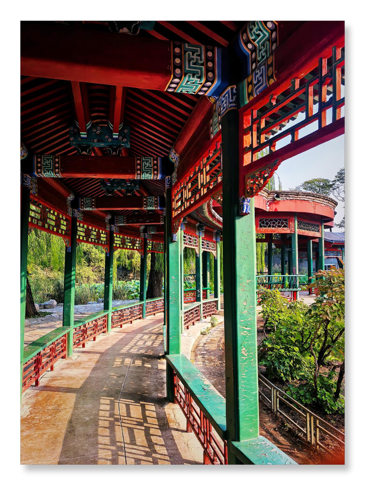 分享你随手拍的风景北京动物园十月上午有景
