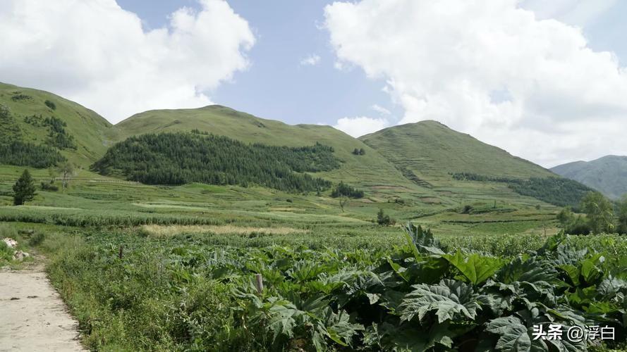工人一口痰，老板罚百万！
食品安全这根红线，谁碰谁倒霉，视频我没放出来，是真的很