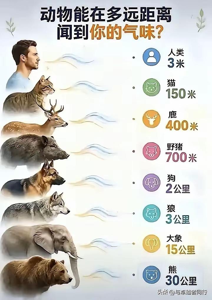 这样看的话，人类在味觉上面，甚至都不如很多的动物。