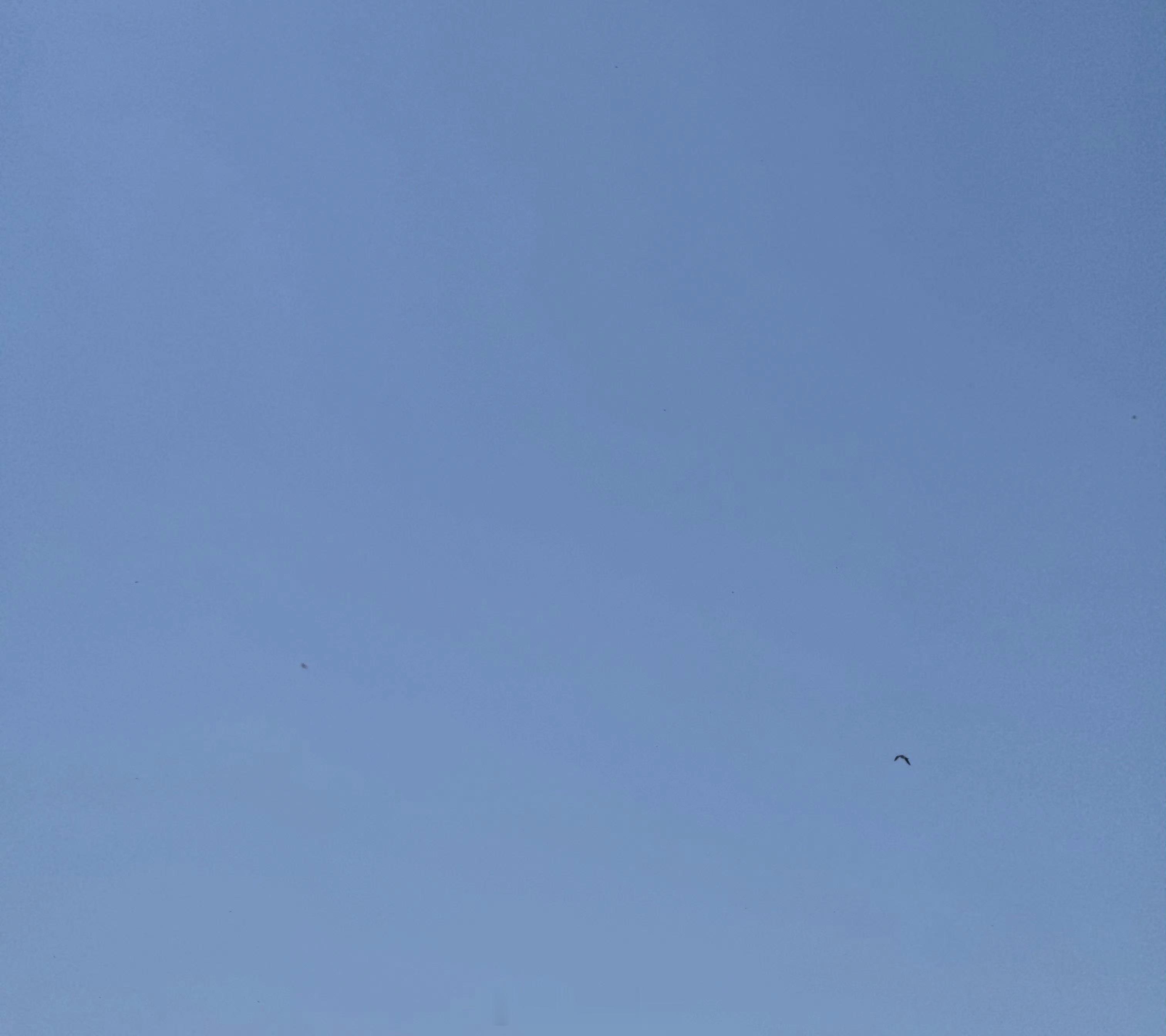 你不说话的时候，比诗人还深沉...... 