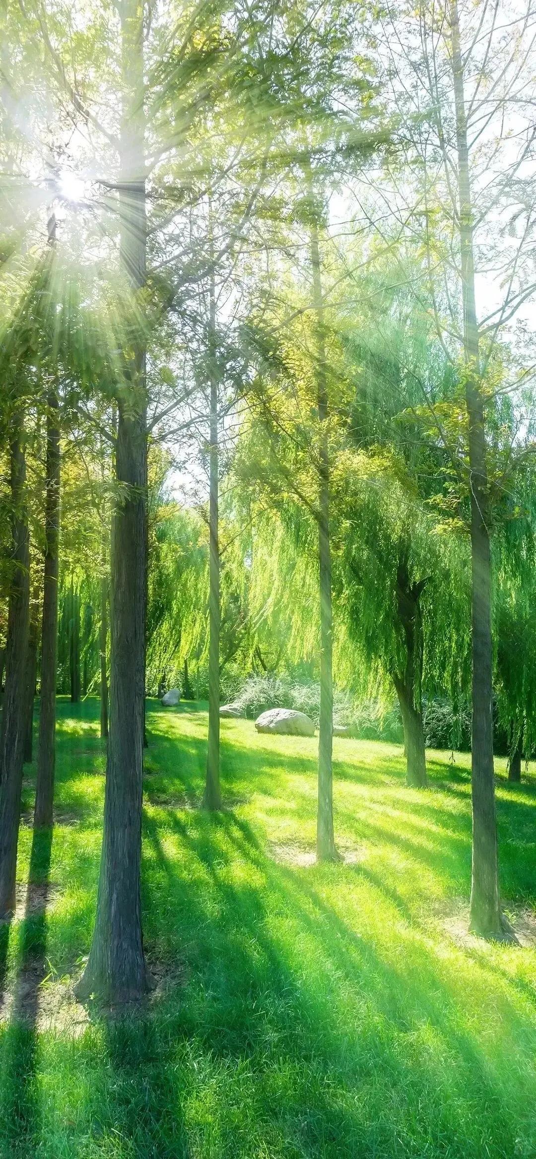 夏天别拿老人不当回事！这3个常见习惯死亡率超50%太危险

近期多地出现老年人群