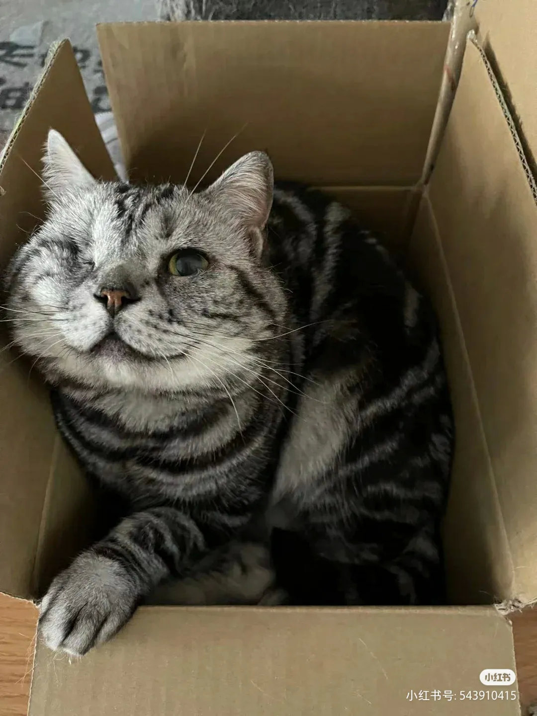 网友：如果原主人找上门来，我也是不会还的虽然他贼能吃，一年从3.7斤吃到了10.