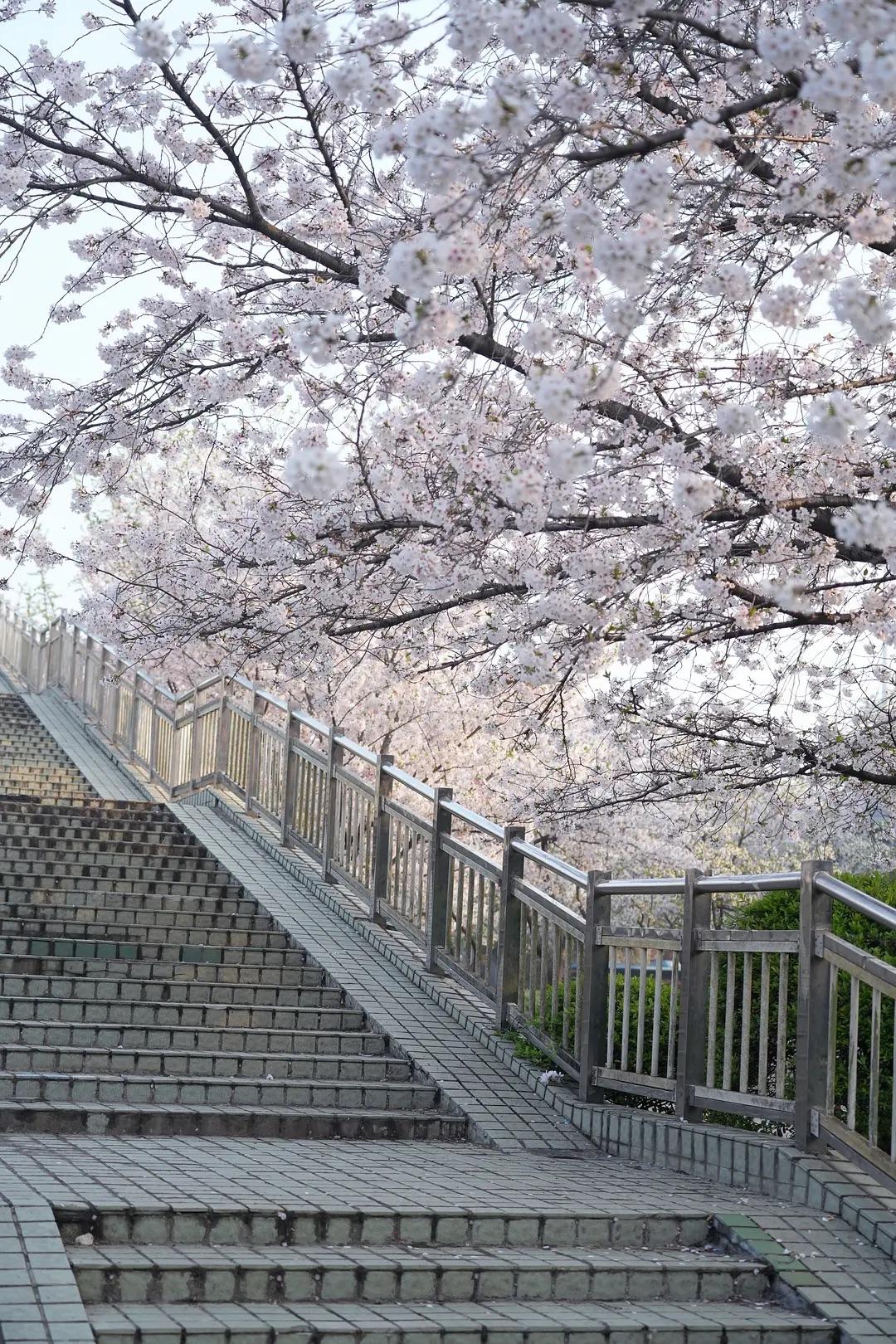 人这一辈子，一定要告诉孩子：

第一，
不管做什么事，安全第一，身体健康第一。