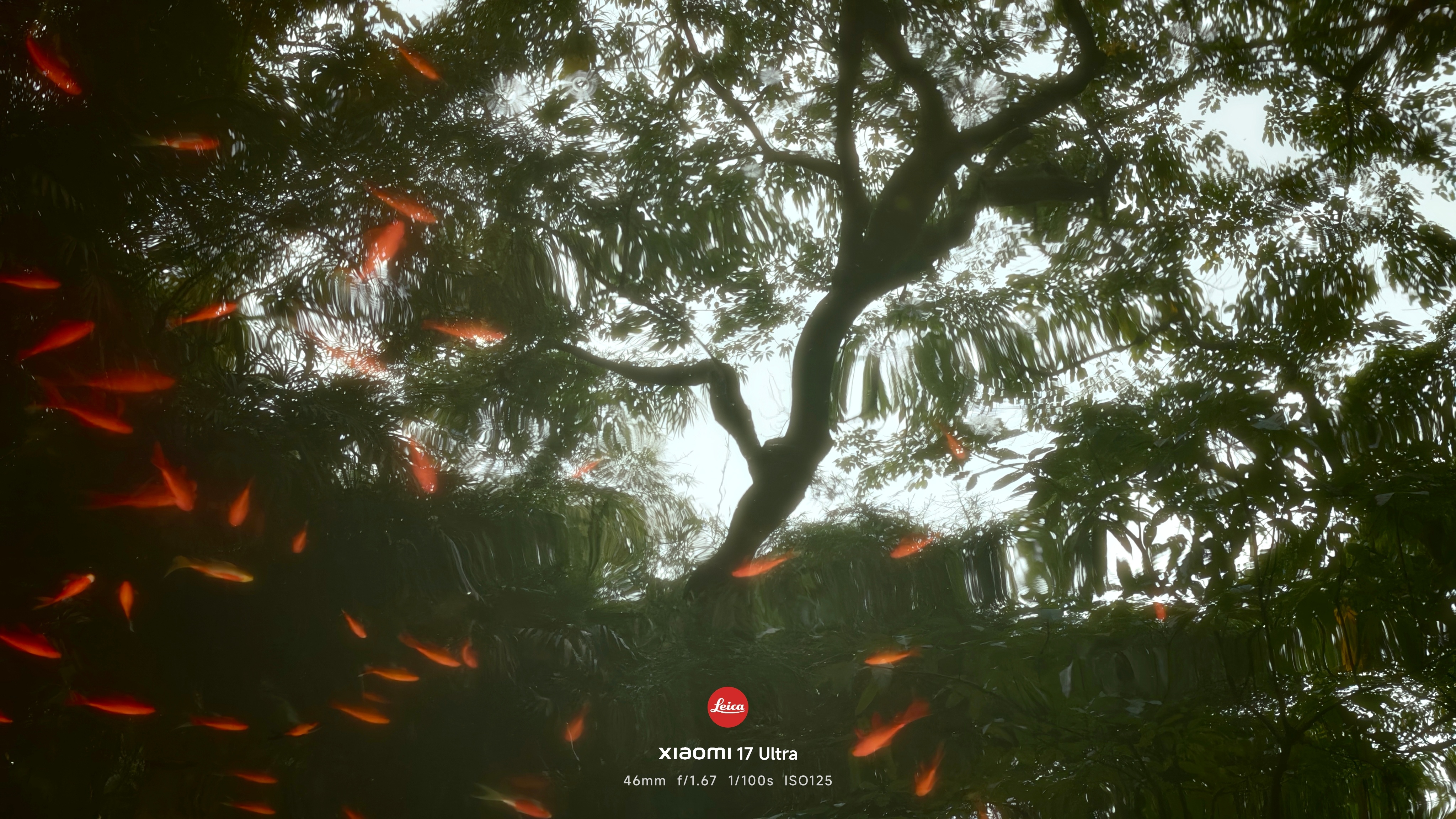 拍得满意的照片要多发几遍，建议小米马上给我颁发2026小米徕卡影像大赛金奖 