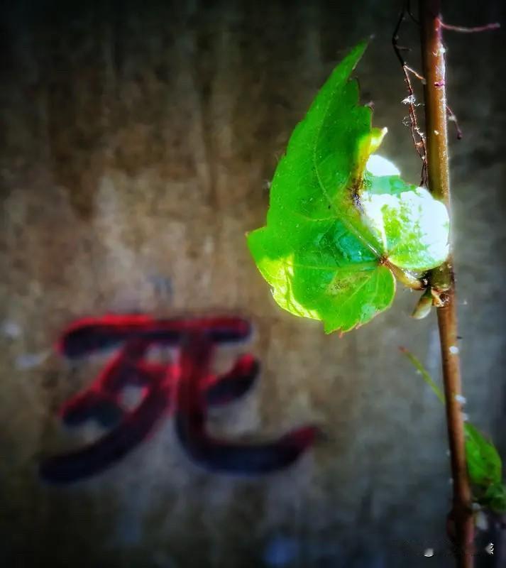 上联:上上下下上下不易，有请下联生生死死生死难料