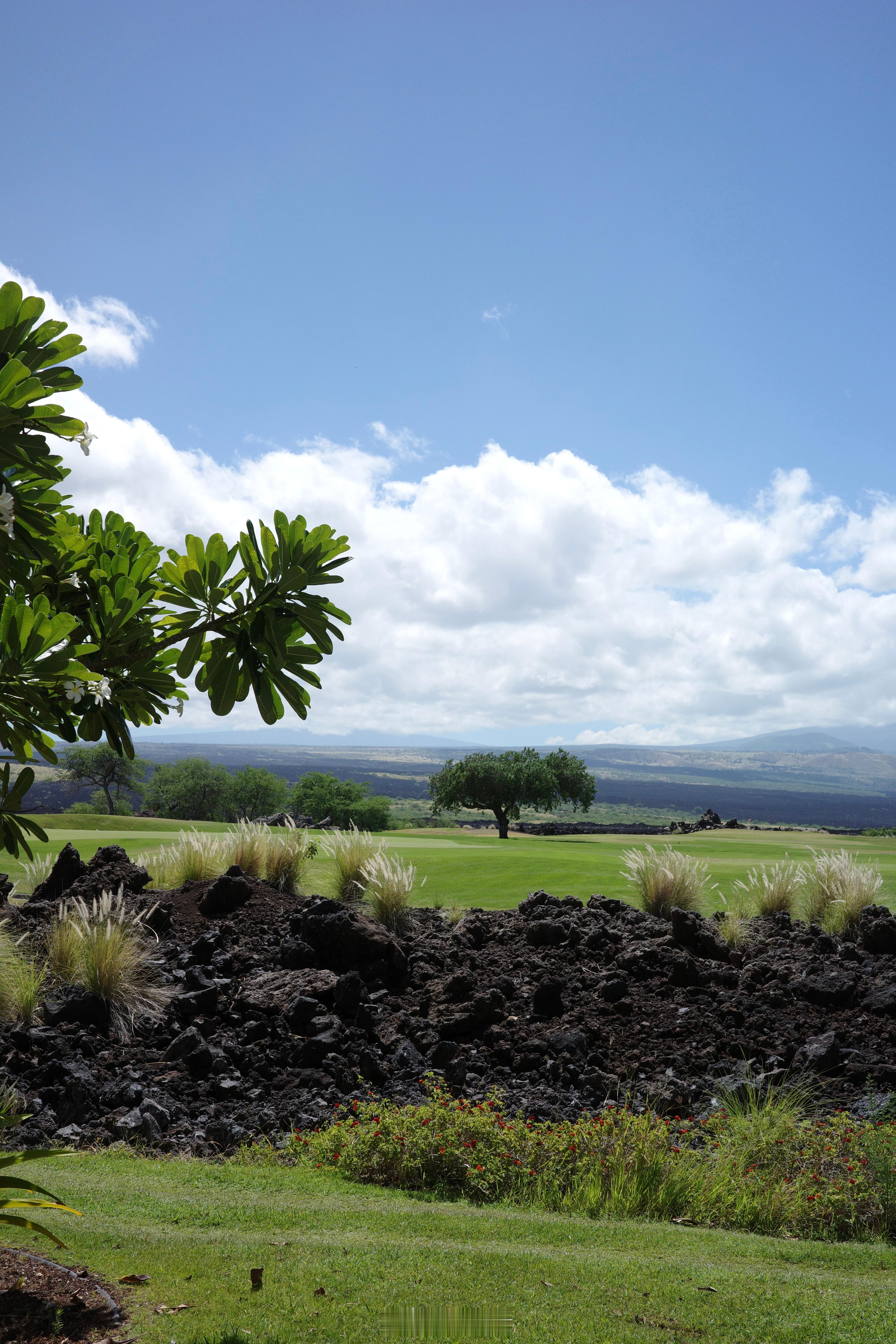 🇺🇸Waipi‘o Valley看峡谷🍍🍌农场吃水果碗 美国·旧金山 (