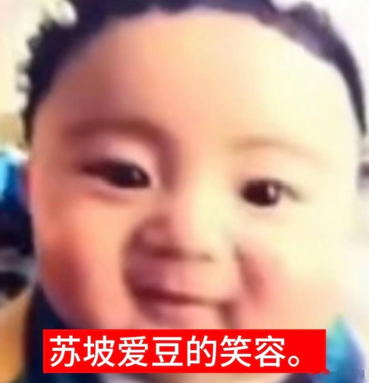 一想到所有人都在跟豆包唠嗑我就想笑张泽禹的快乐充能站 ​​​