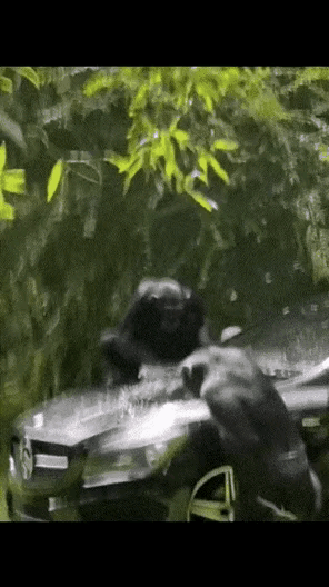 看到了吧，也就豪车才能用得起这样的洗车工[灵光一闪]