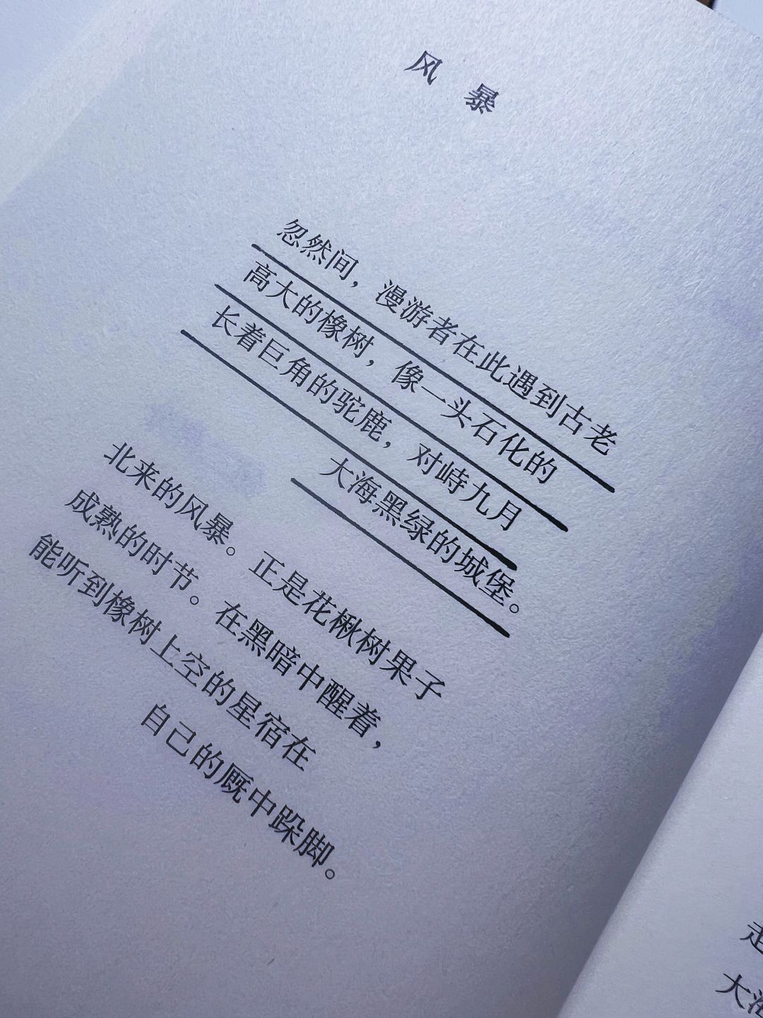📚但是我们还有诗