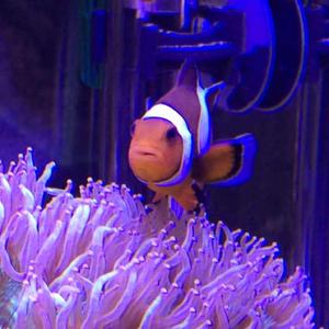 晃晃悠悠到小溪