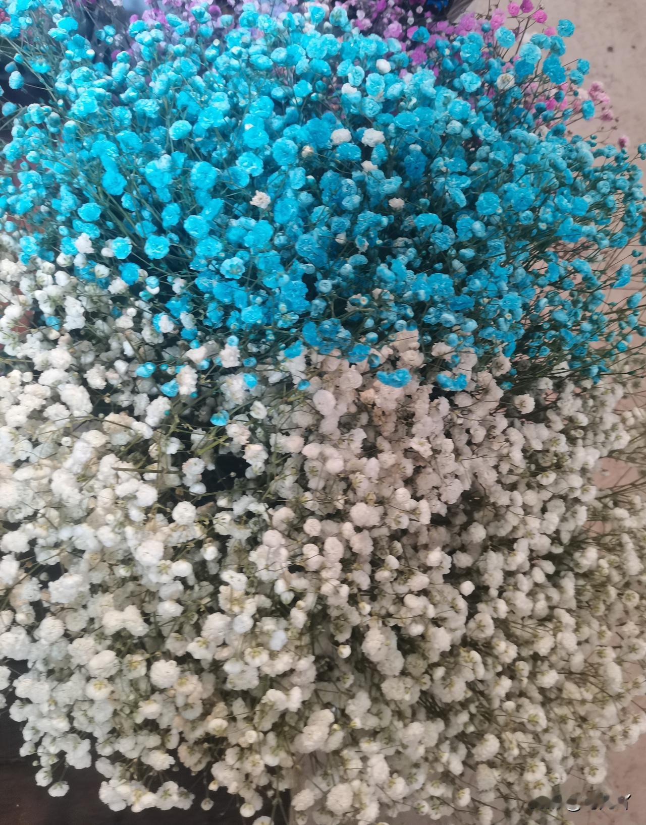 我为什么要活在世俗里？

从小至今，我从没遵从自己内心去活，因为害怕世俗的眼光，