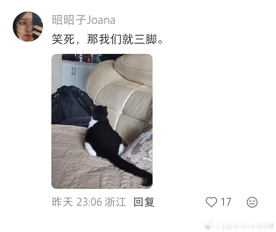 原来小猫穿的是平角裤连体衣 