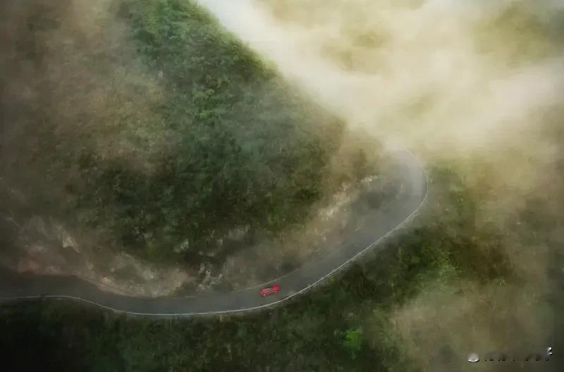 《七律    道上》（二首）
人生逆旅步匆匆，恰似飘蓬类转蓬。
夸父逐阳情烈烈，