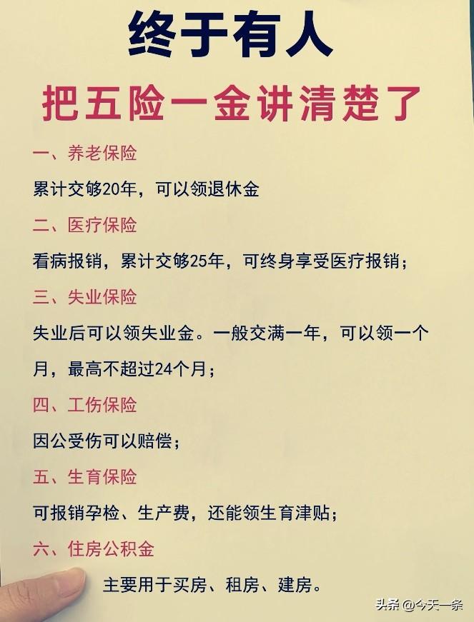 为啥男性员工也要缴纳生育保险？