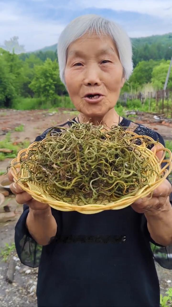 黑龙江原始大森林，悬崖峭壁的背阴面生长的纯野生肾精茶。
我家是小兴安岭的主脉，原
