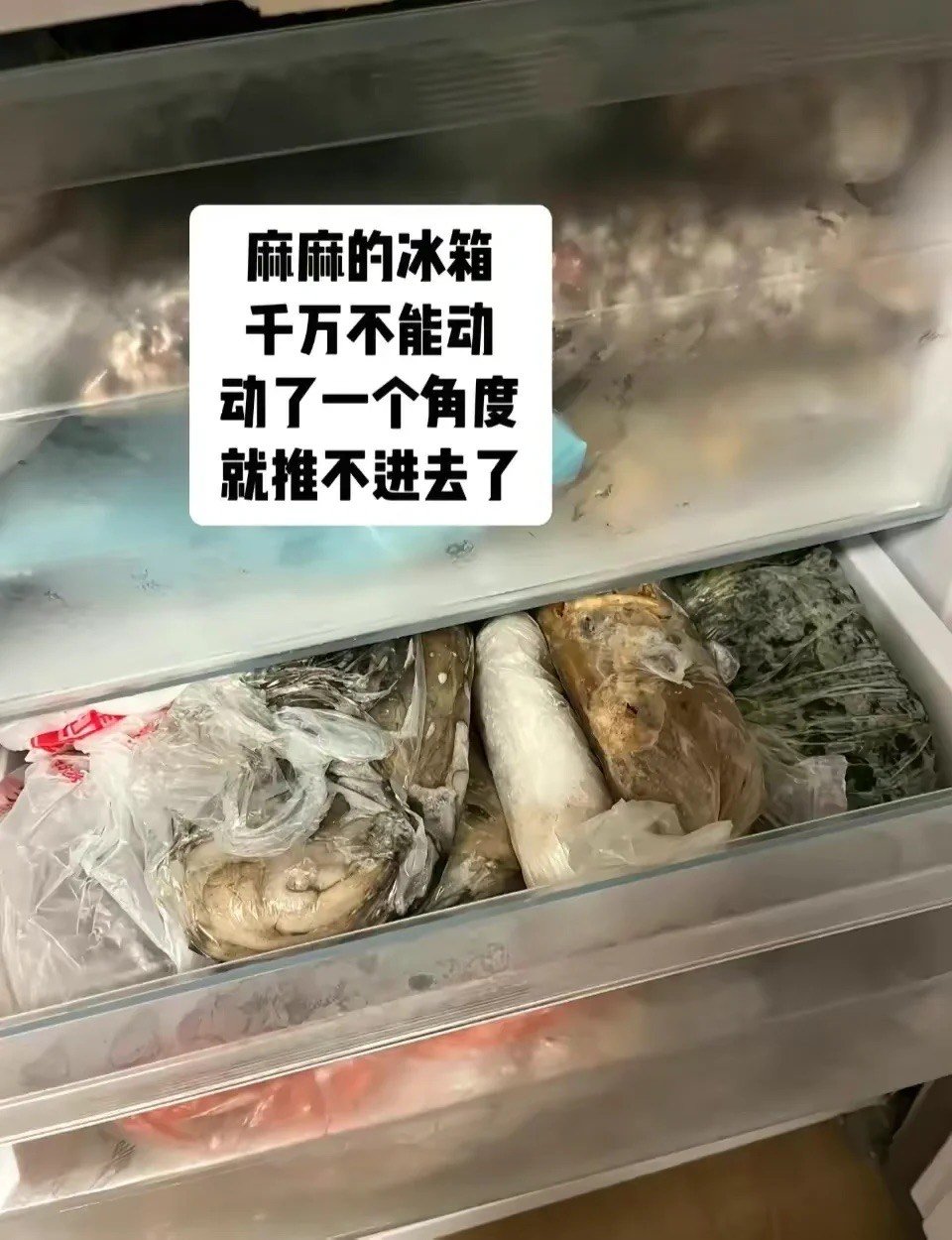 妈妈的冰箱千万不能乱动 比华容道都难#搞笑# ​​​