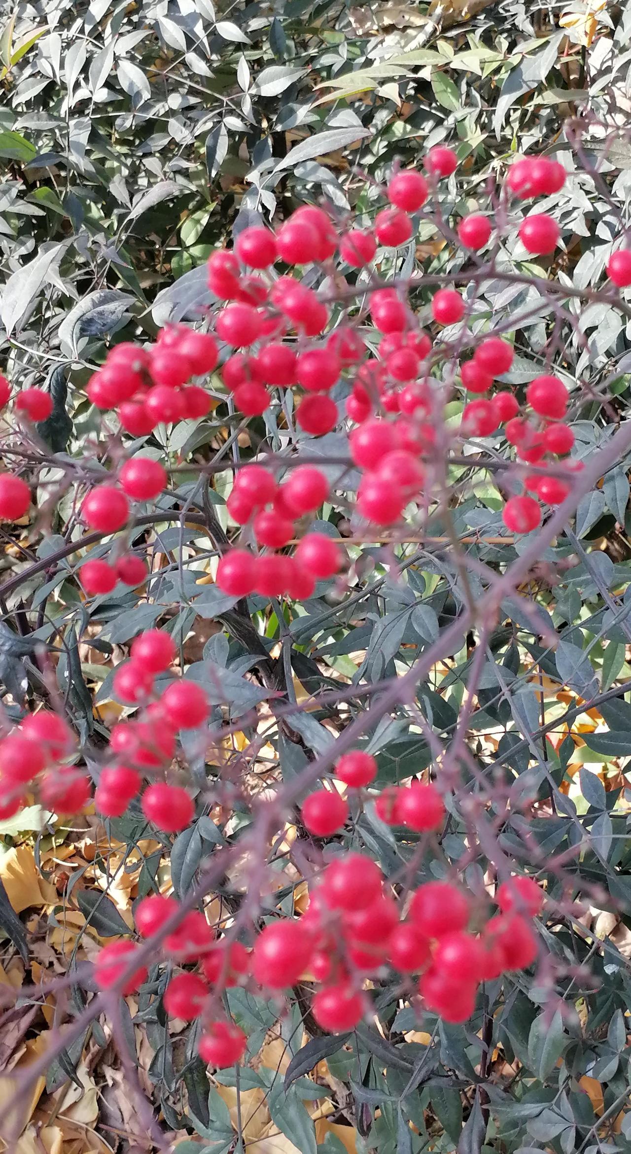 原创内容 冬日生活打卡季