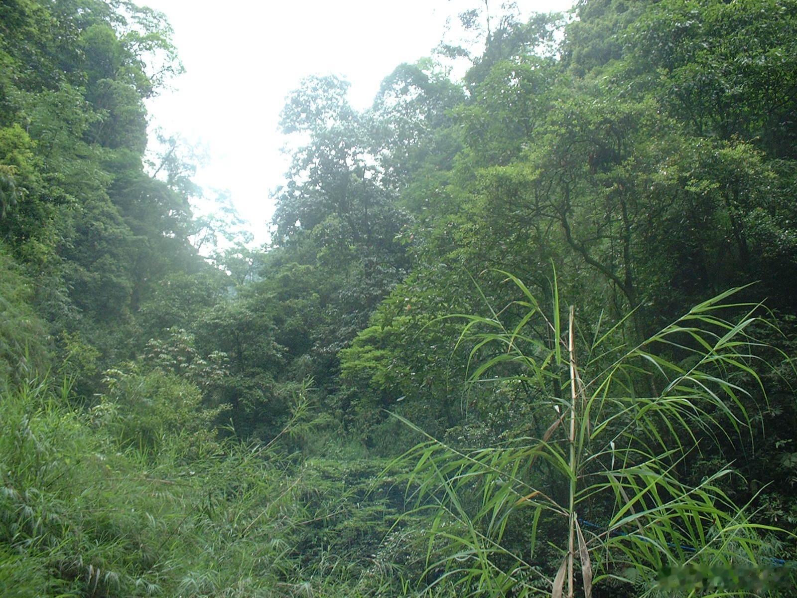 曾记否？那年秋天川藏之行的记忆。（续七）尽管相机像素不高，但照片还是比手机拍摄的