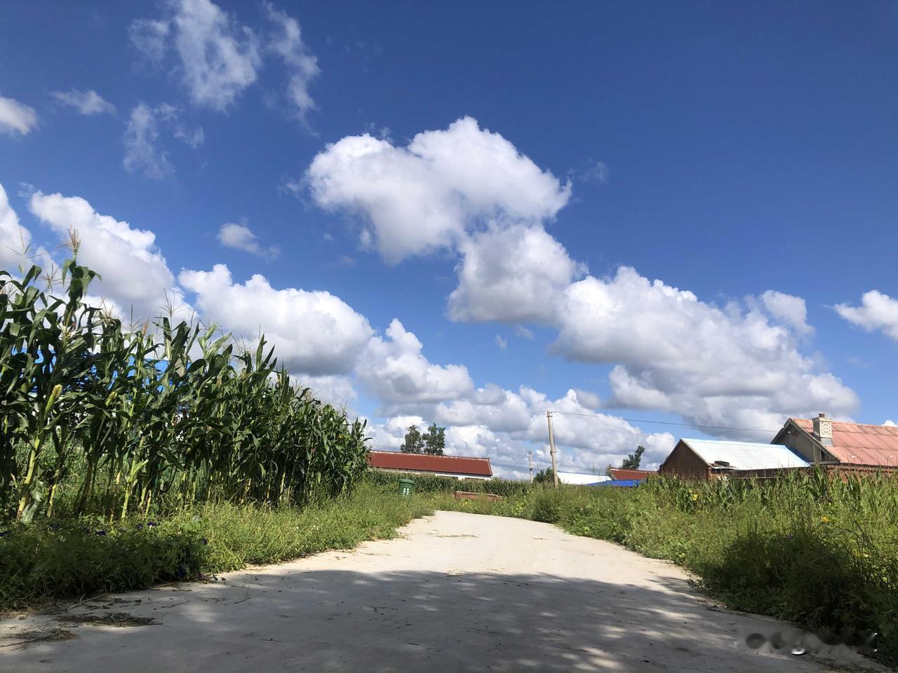 马上到夏天了，时光匆匆流逝，岁月悠悠溜走。