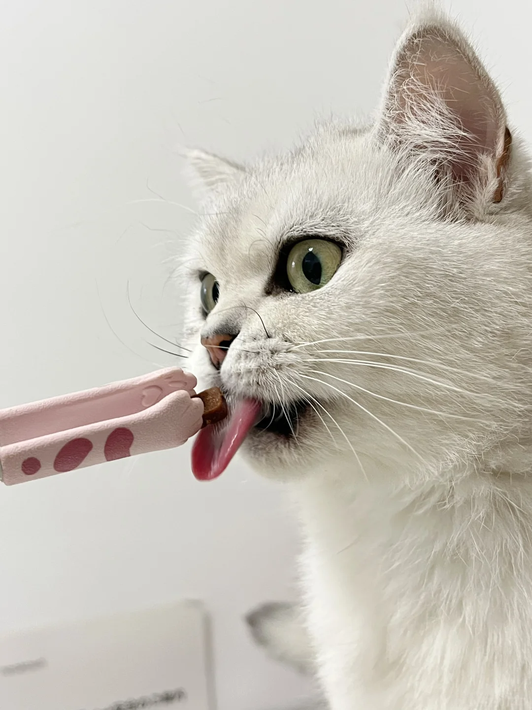 听说猫咪尿少，吃这个好像有用🤔