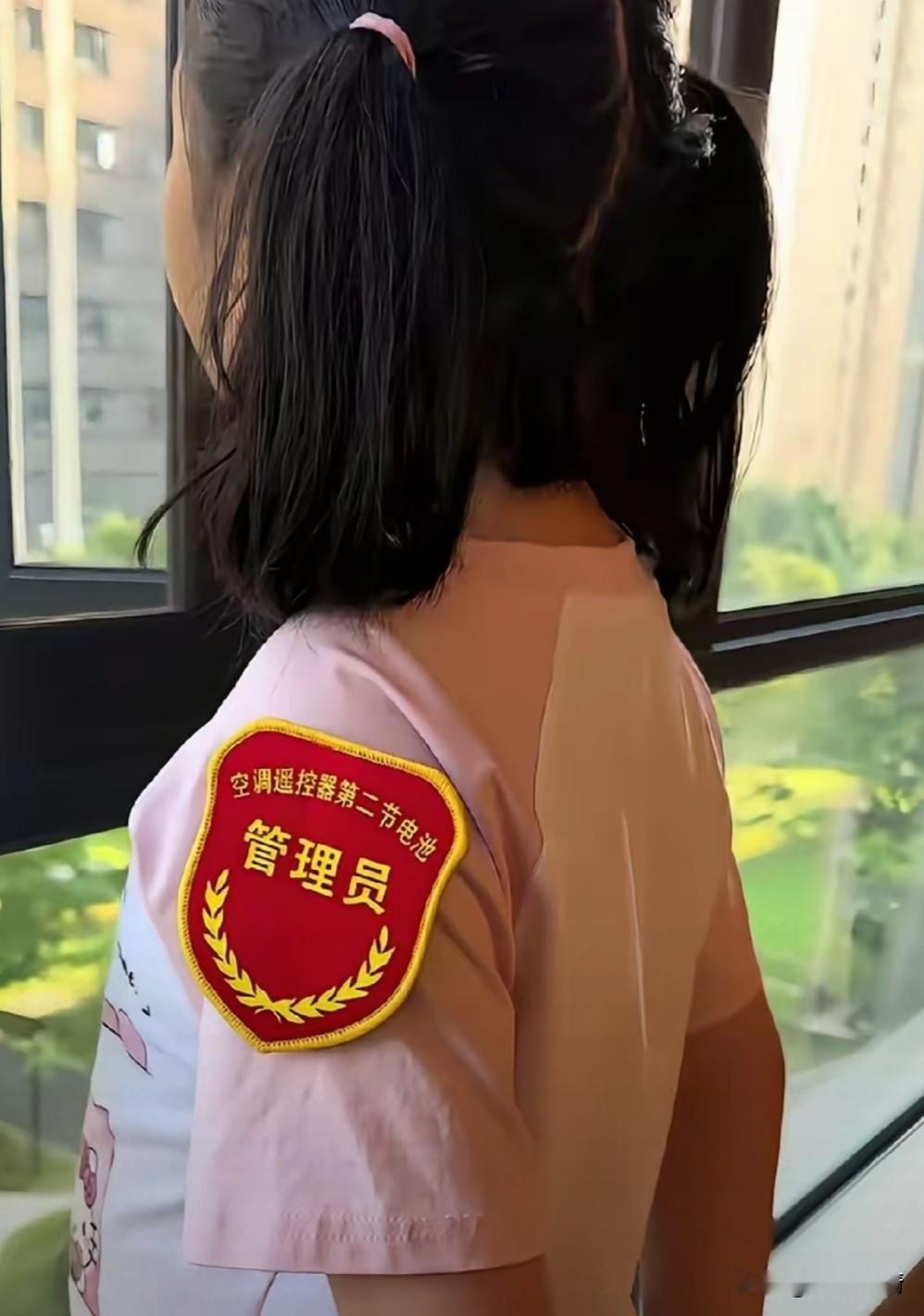 凭窗远眺，小小年纪的她又一次陷入了深深的沉思中。

今天空调遥控器管理员反映说，
