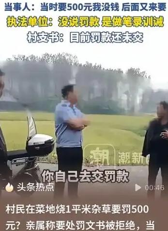 “离大谱！”河南固始，女子因患恶性肿瘤，在家养病，为了节省开支，便种了菜自给自足