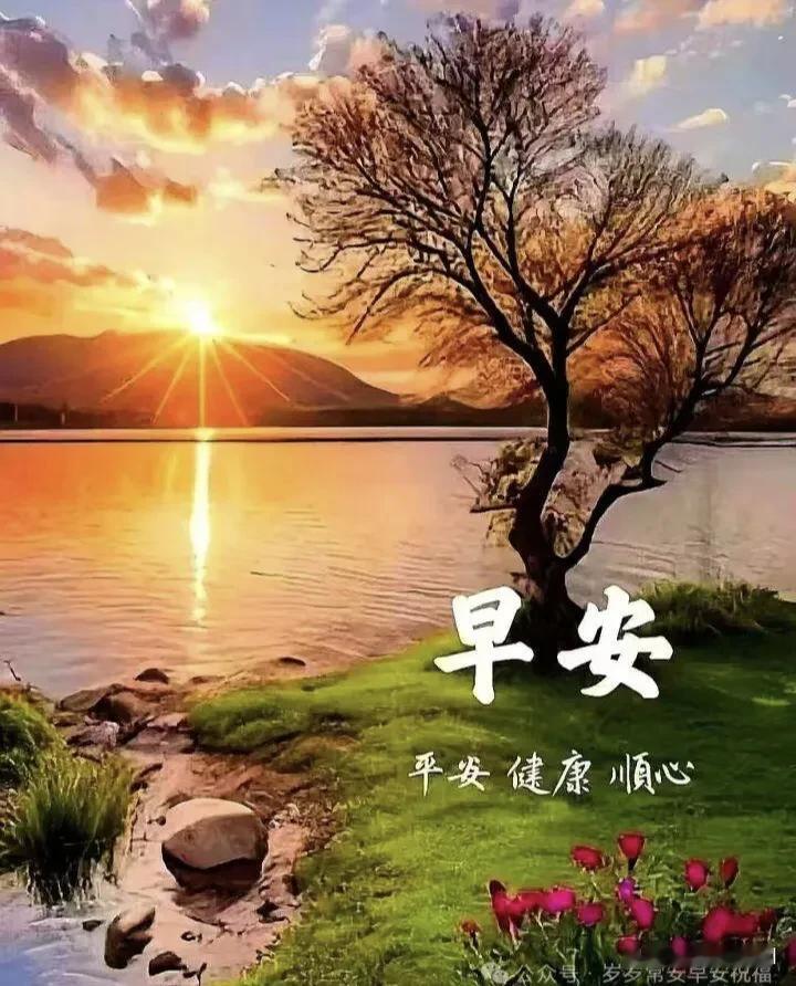 晨光拂面，愿你今日事事顺遂。