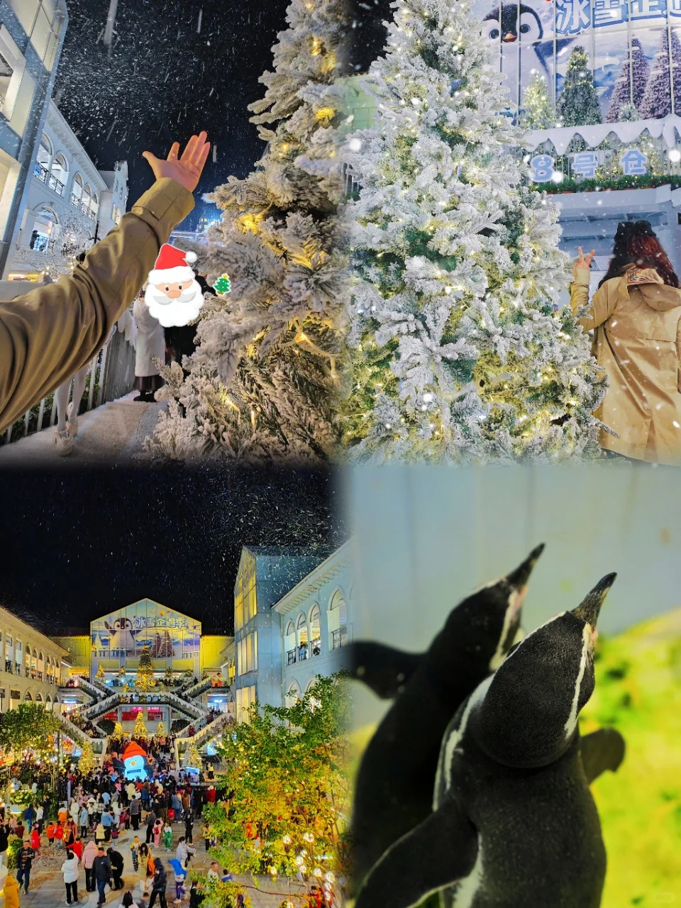 圣诞节！就来8⃣️号仓看漫天飞雪和企鹅