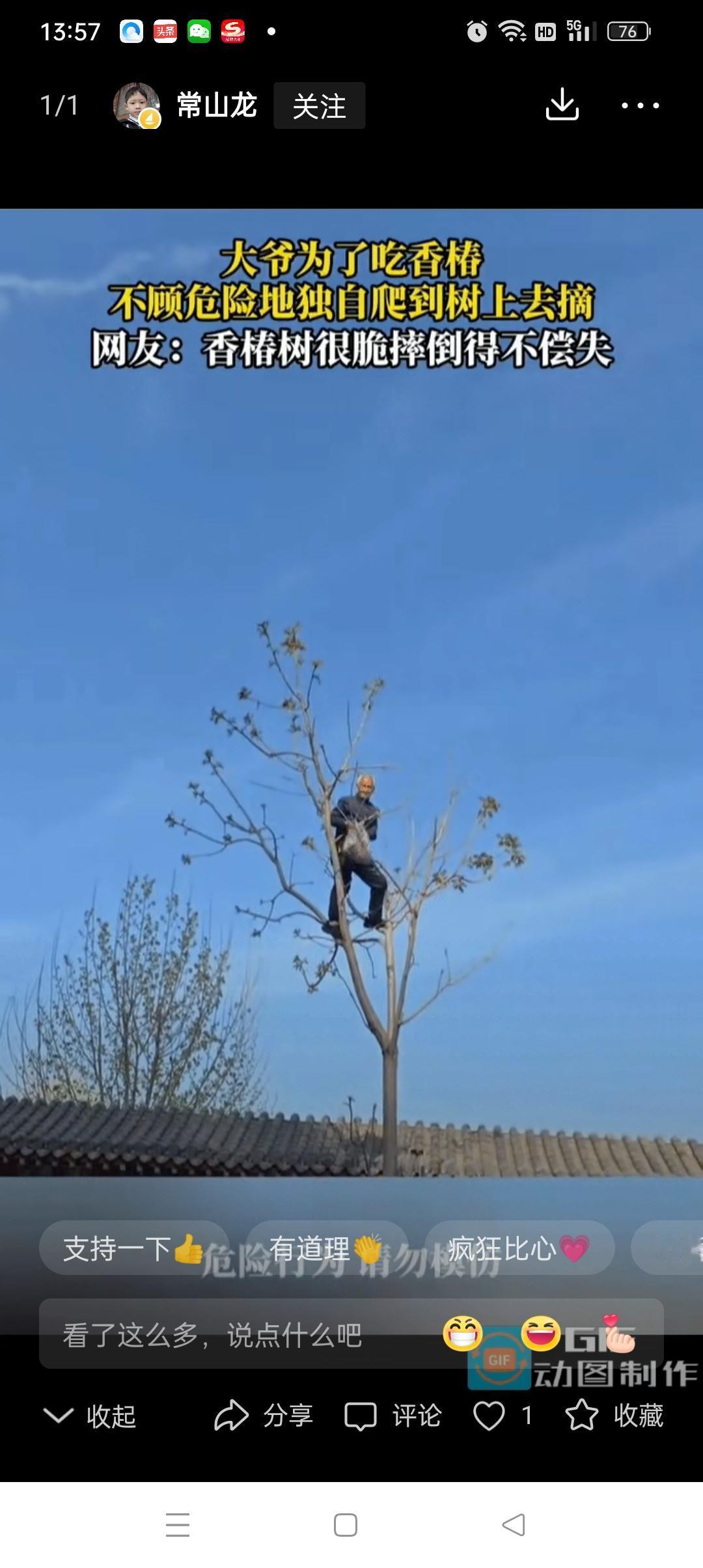 为了吃口鲜嫩的香椿，大爷不顾自己年老体衰，竟然爬到香椿树上采摘椿叶，看着大爷颤巍