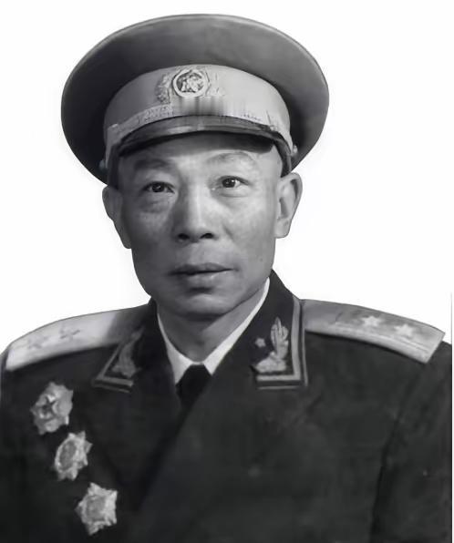 [月亮]1949年，清剿湖南6万残匪的军长杨梅生路过小镇，见一乞丐老太酷似亡母，