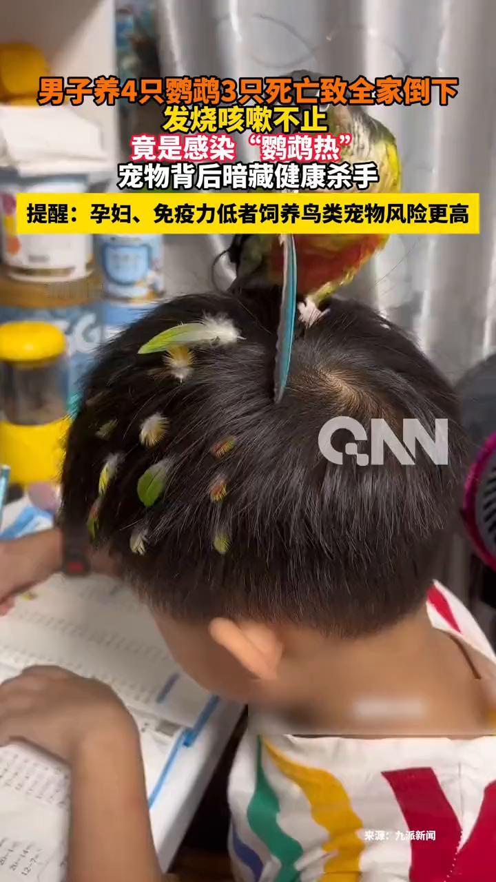 男子养4只鹦鹉3只死亡致全家倒下，发烧咳嗽不止竟是感染"鹦鹉热"，宠物背后暗藏健