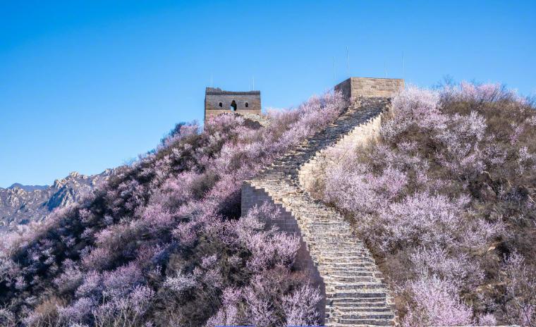 中国北方十大春季旅游好去处排行榜

北方的春，褪去了冬日的凛冽与苍茫，带着冰雪消