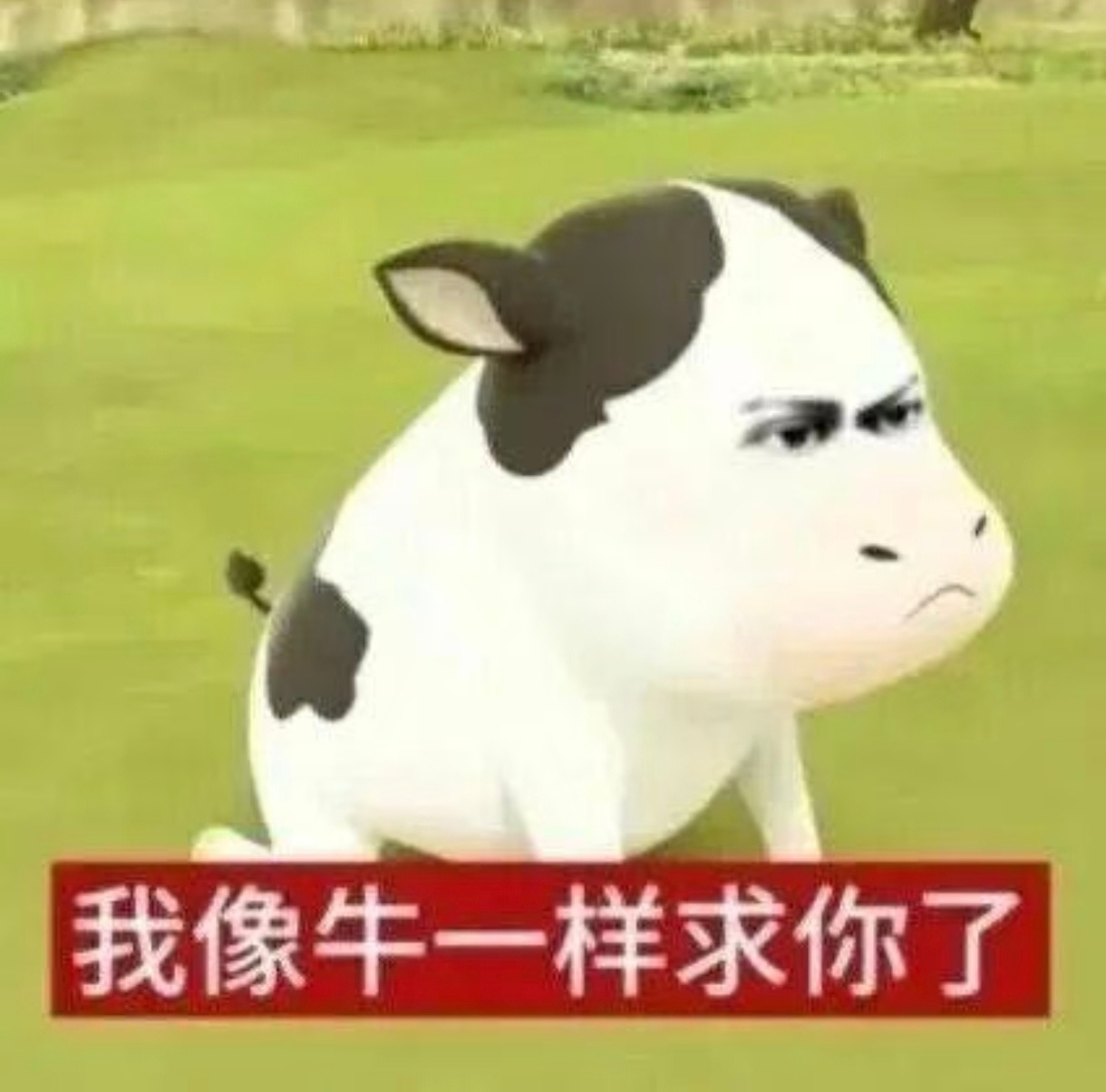 你们。都来。别逼我求你们。。新的两个👍🏻🔗 ​​​这个🍎继续 ​​​