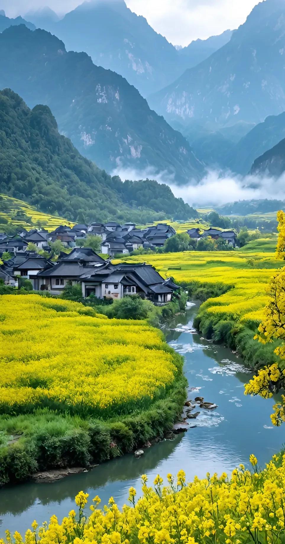 在世外桃源中，邂逅春天的金黄与宁静季节的美景 漫道美景