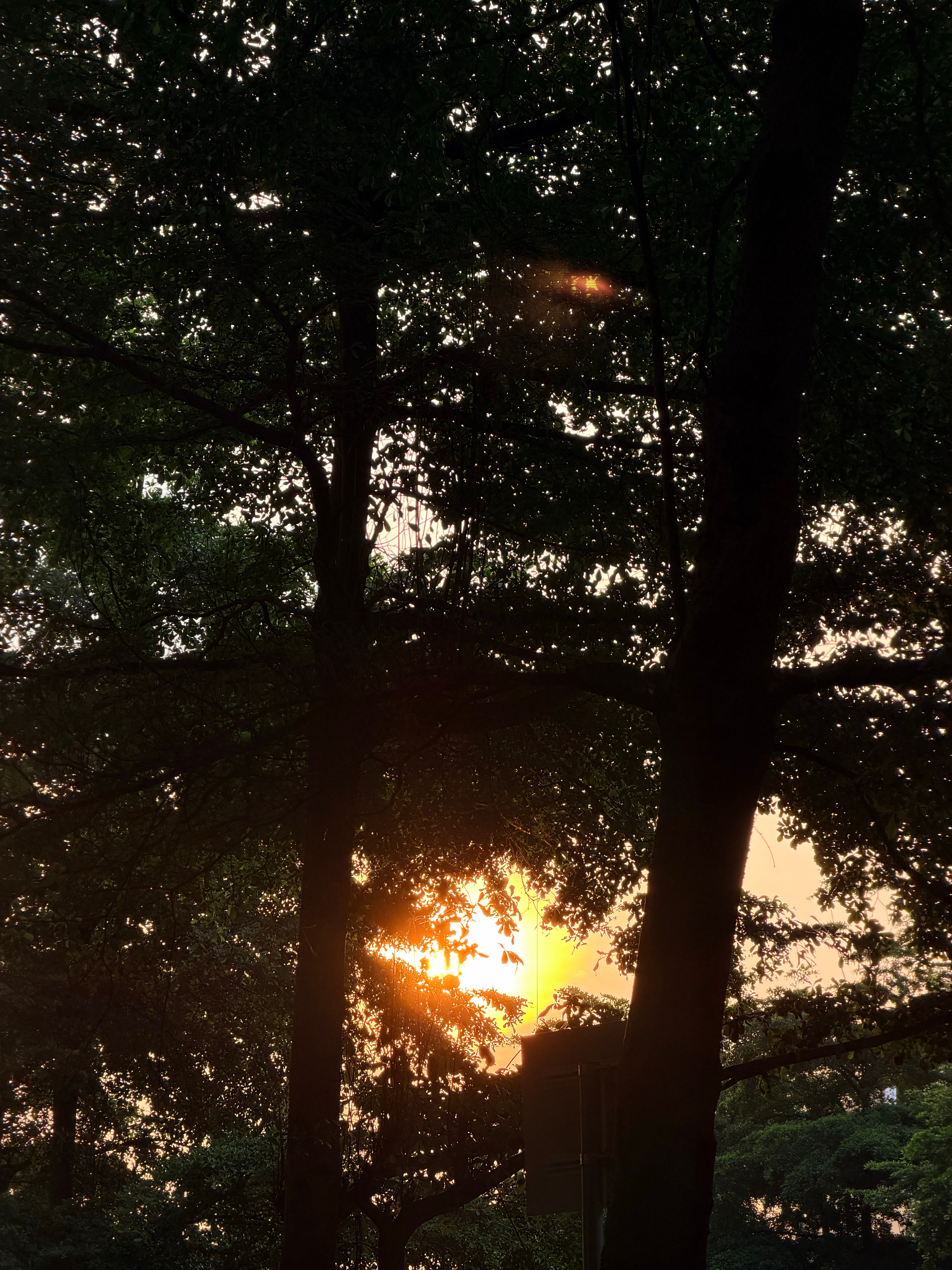 🌇
