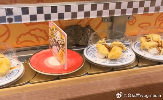 回转寿司店有老鼠在履带上奔跑，涉事品牌道歉据媒体报道，3月29日，浙江杭州一顾客