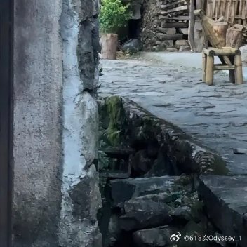 鞠婧祎 🍊🍊你们在我眼里就像满天星辰😲😲鞠婧祎苏绿夏