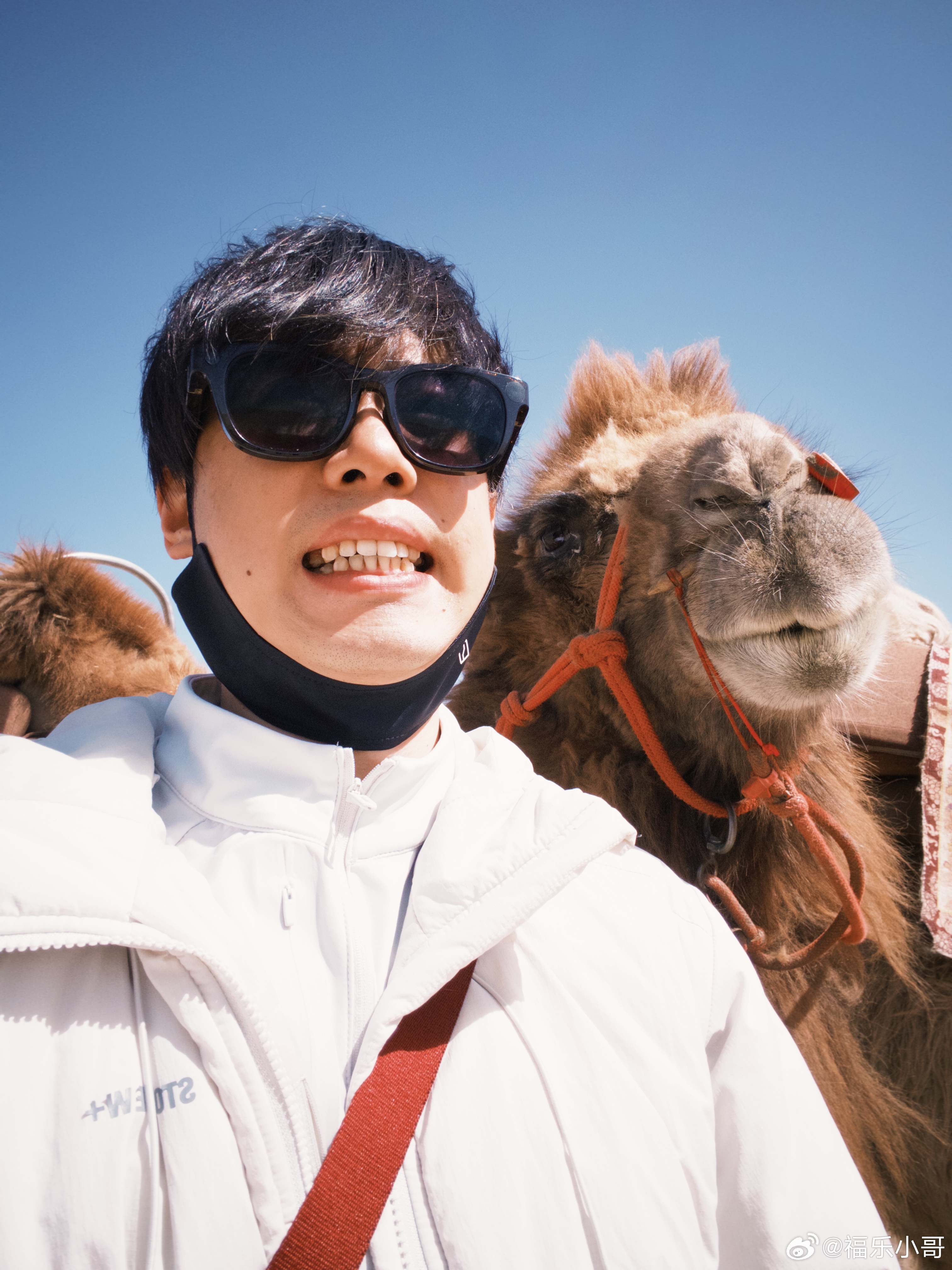 天天问我在干嘛？我搁沙漠卖雨衣呢！ 敦煌·鸣沙山月牙泉