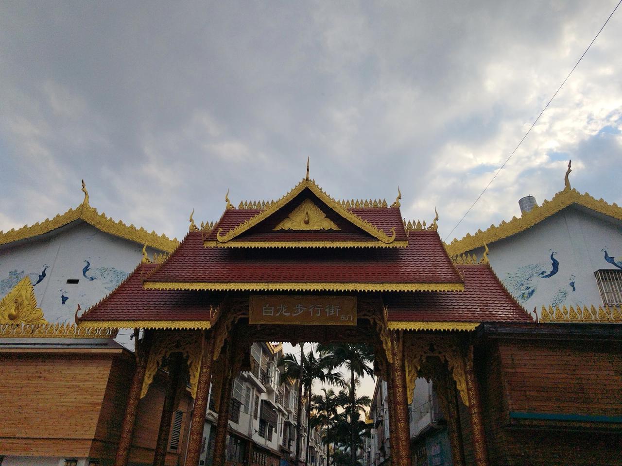 景谷县🇨🇳中国大白茶