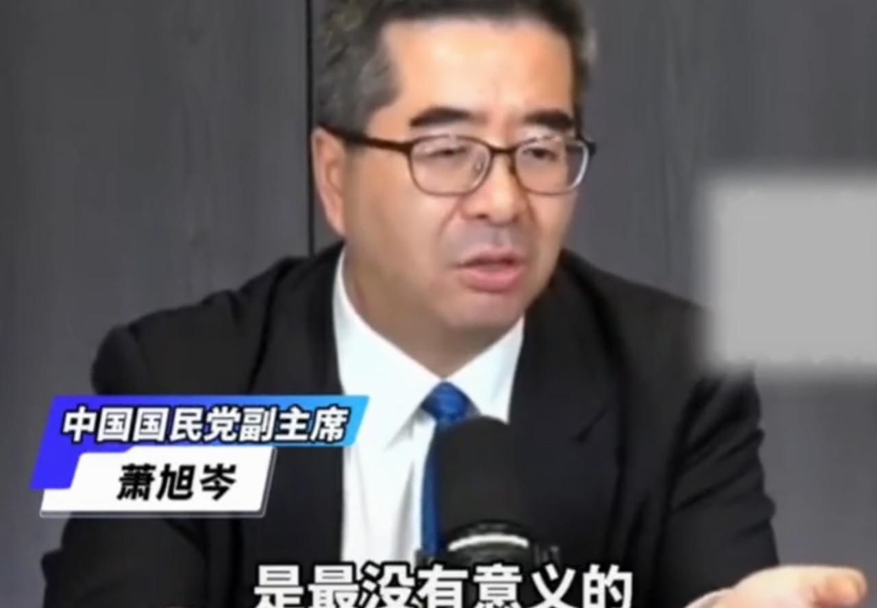 国民党副主席萧旭岑怒批民进党阻挡“惠台十项政策”的实施，他指出：“台独”对台湾老