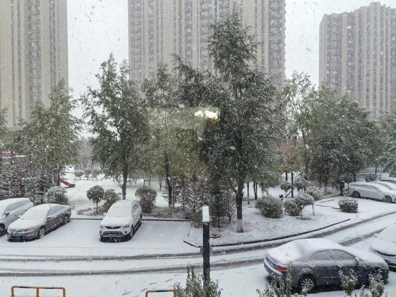 这两天新疆下雪的消息冲上了热搜，乌鲁木齐、阿勒泰、喀纳斯这些地方都飘起了雪花，有