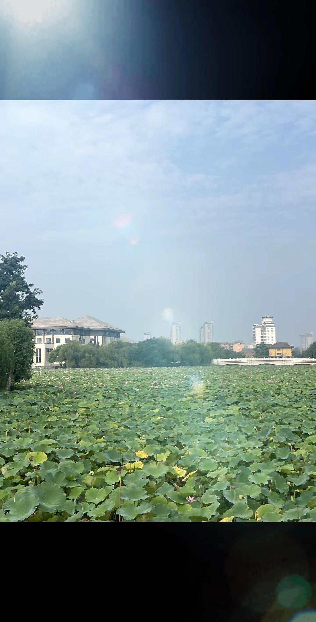 星链落地越南，一张卫星网络正在快速席卷亚洲国际视野 星链 地缘观察