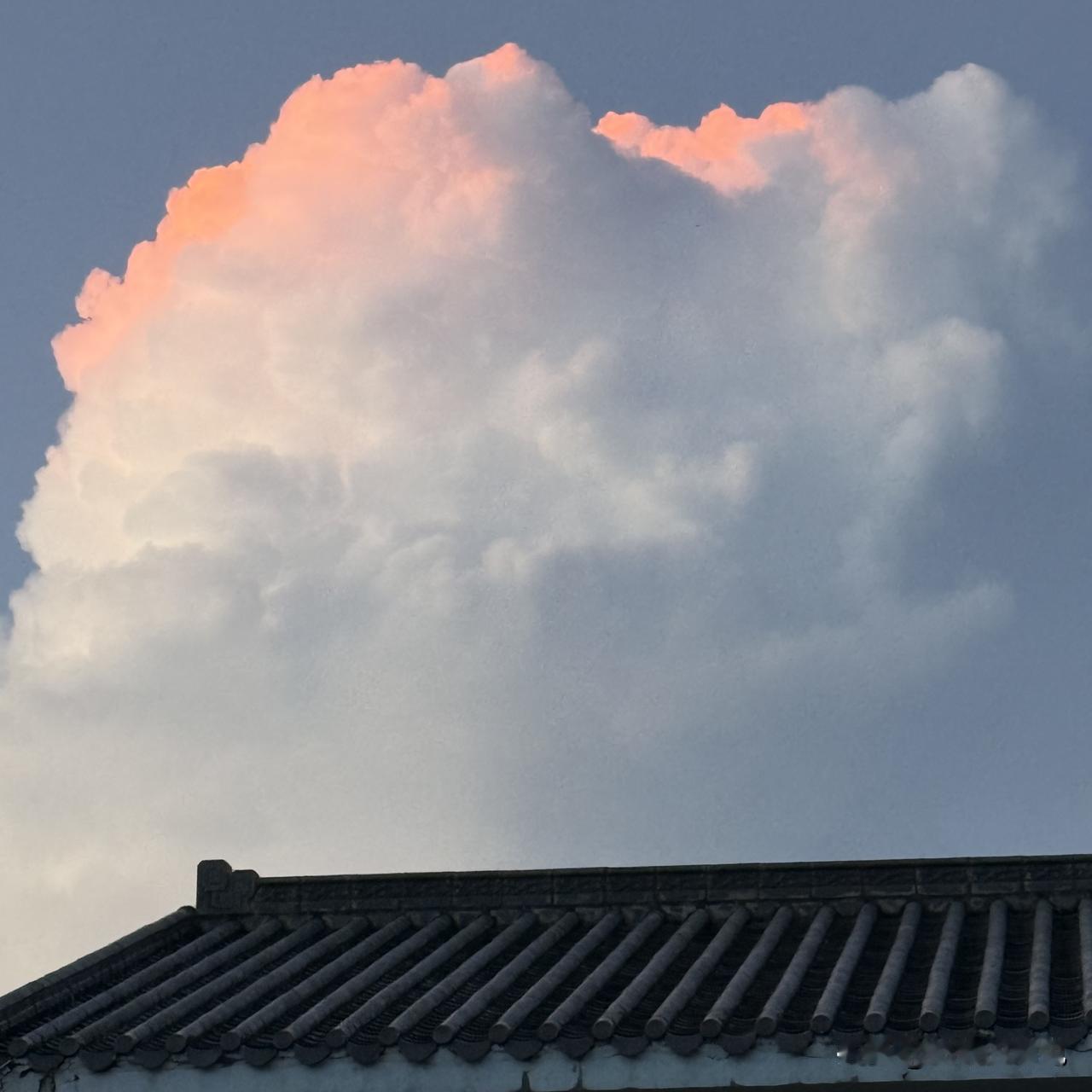 晒图笔记大赛千形万象的☁️，一时间竟然不知道用什么形容词来形容今日拍到的。